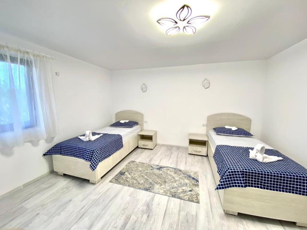 فندق Casa Munteanu Mila Douăzeci şi Trei المظهر الخارجي الصورة